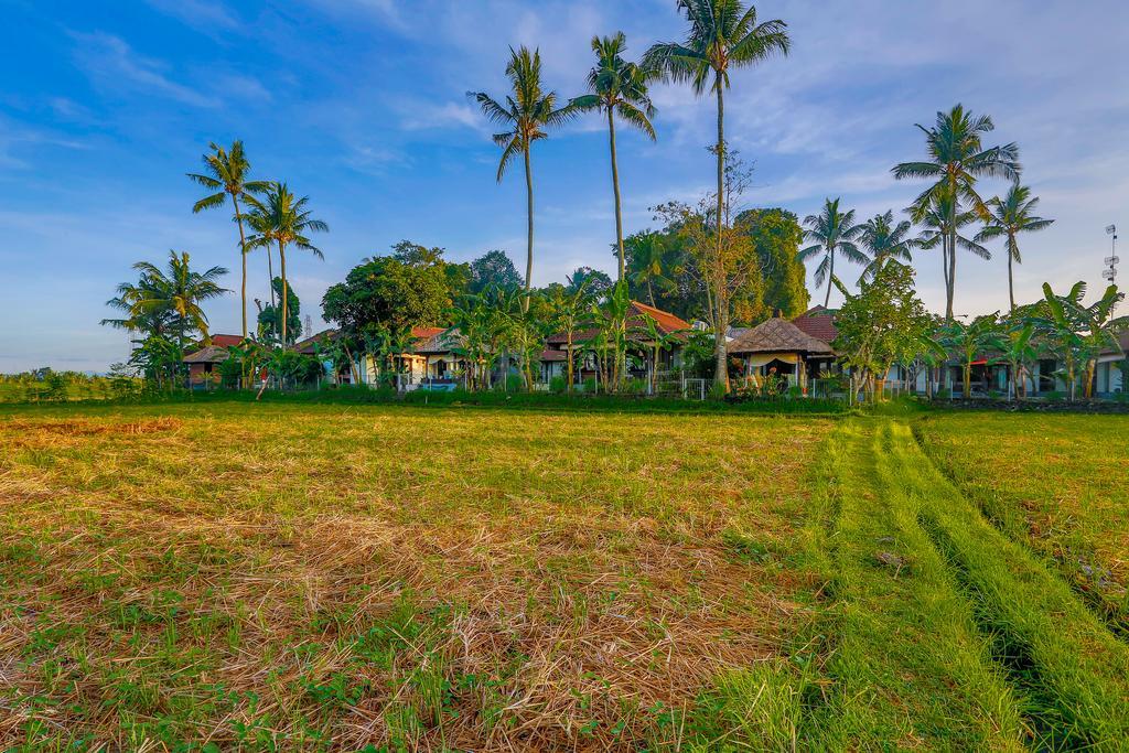Villa Kaba Kaba Resort Canggu  Ngoại thất bức ảnh