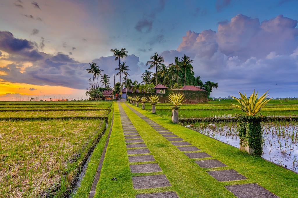 Villa Kaba Kaba Resort Canggu  Ngoại thất bức ảnh