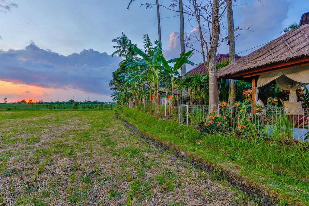 Villa Kaba Kaba Resort Canggu  Ngoại thất bức ảnh