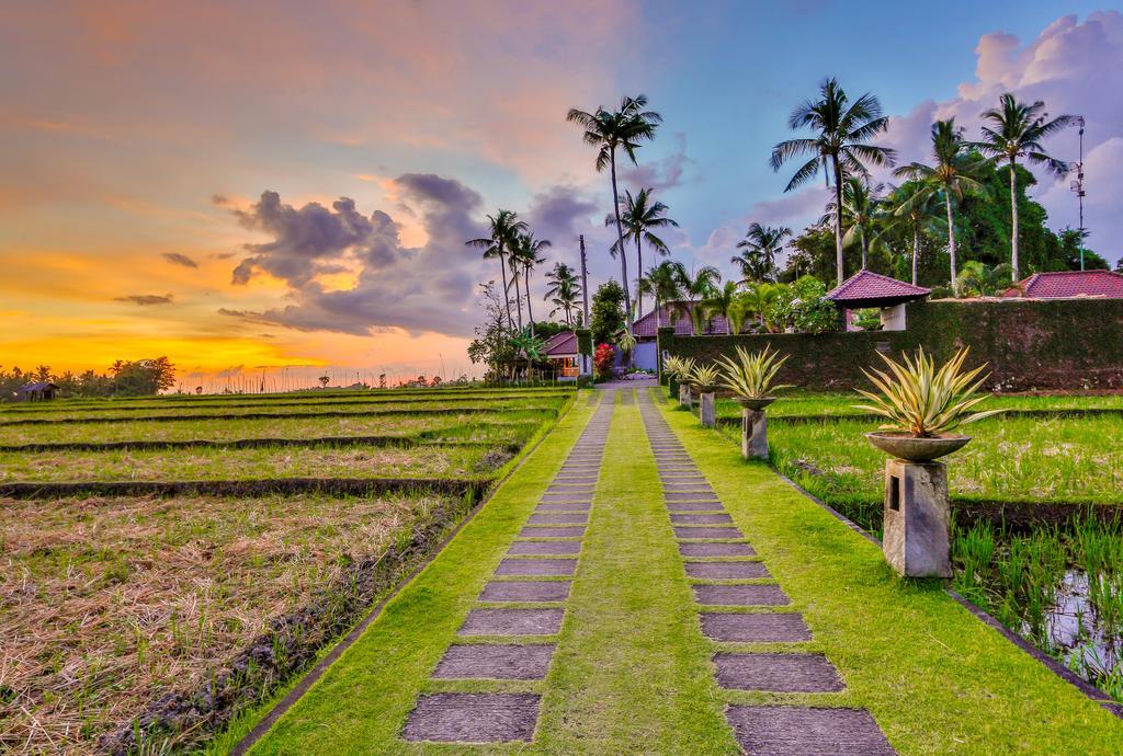 Villa Kaba Kaba Resort Canggu  Ngoại thất bức ảnh