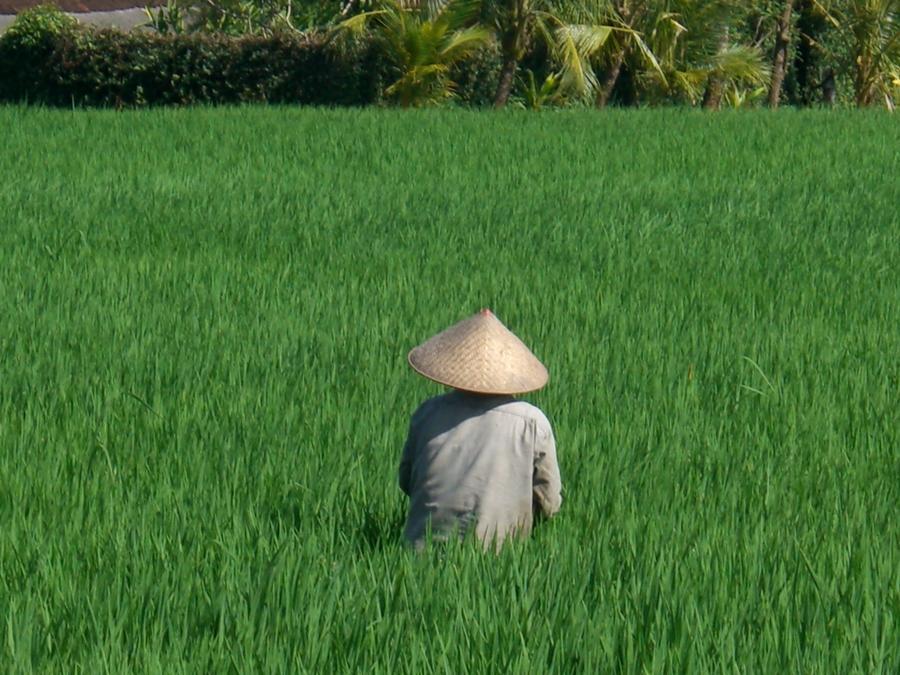 Villa Kaba Kaba Resort Canggu  Ngoại thất bức ảnh